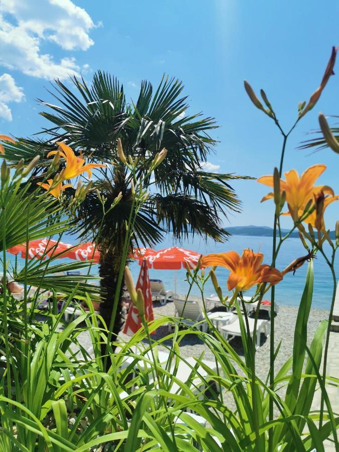 Hotel Azzurro Χέρτσεγκ Νόβι Εξωτερικό φωτογραφία