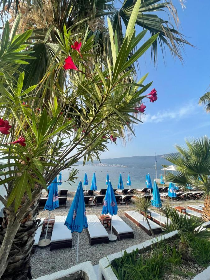 Hotel Azzurro Χέρτσεγκ Νόβι Εξωτερικό φωτογραφία