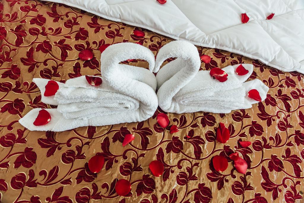 Hotel Azzurro Χέρτσεγκ Νόβι Εξωτερικό φωτογραφία
