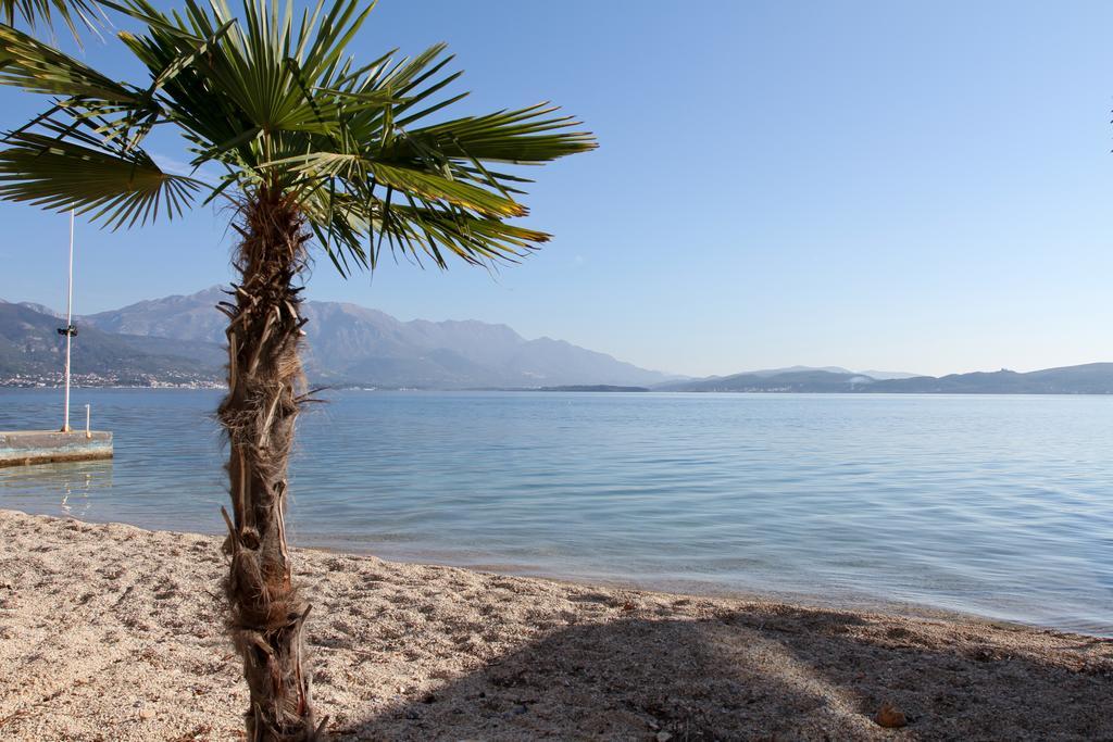 Hotel Azzurro Χέρτσεγκ Νόβι Εξωτερικό φωτογραφία