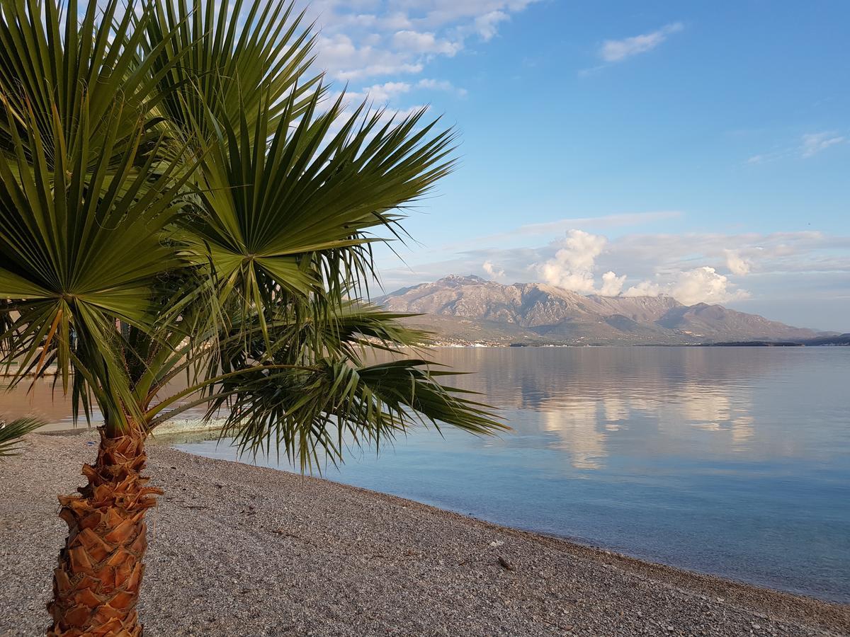 Hotel Azzurro Χέρτσεγκ Νόβι Εξωτερικό φωτογραφία